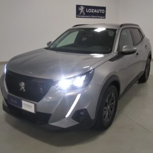 PEUGEOT 2008 GRIS